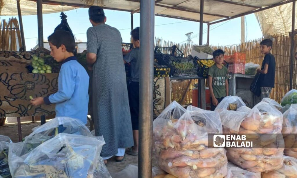 The price of a kilo of onions on the stalls in Deir Ezzor ranges between 2,500 and 3,500 Syrian pounds - July 13, 2024 (Enab Baladi/Obadah al-Sheikh)