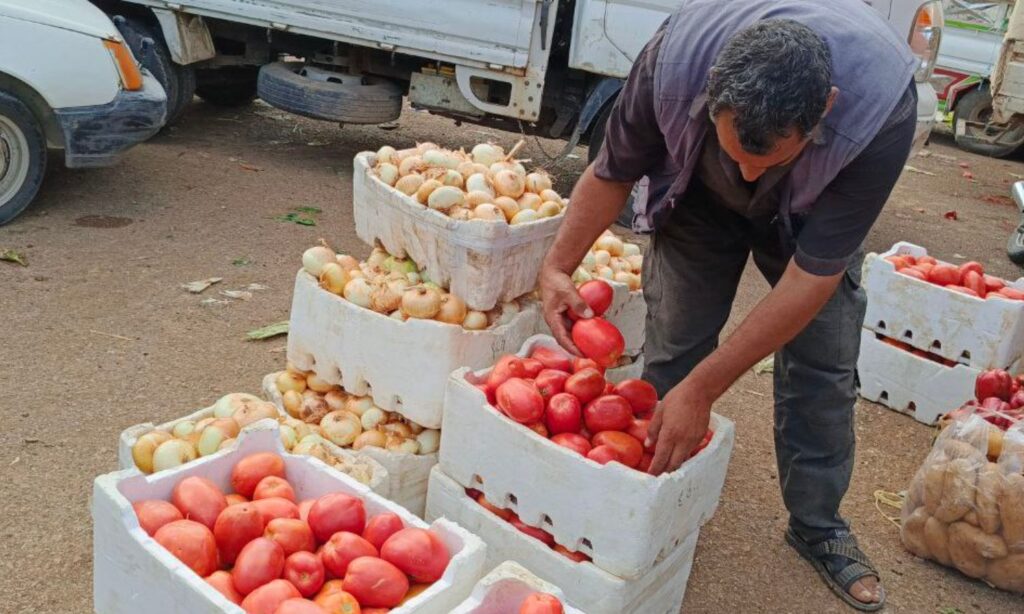 A merchant selling tomatoes in al-Hal market, Tafas city, July 24, 2024 (Enab Baladi/Halim Muhammad)