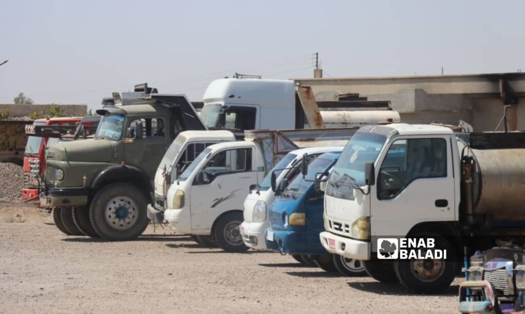 Cars for sale in the town of Abriha in the eastern countryside of Deir Ezzor - July 27, 2024 (Enab Baladi/Obadah al-Sheikh)