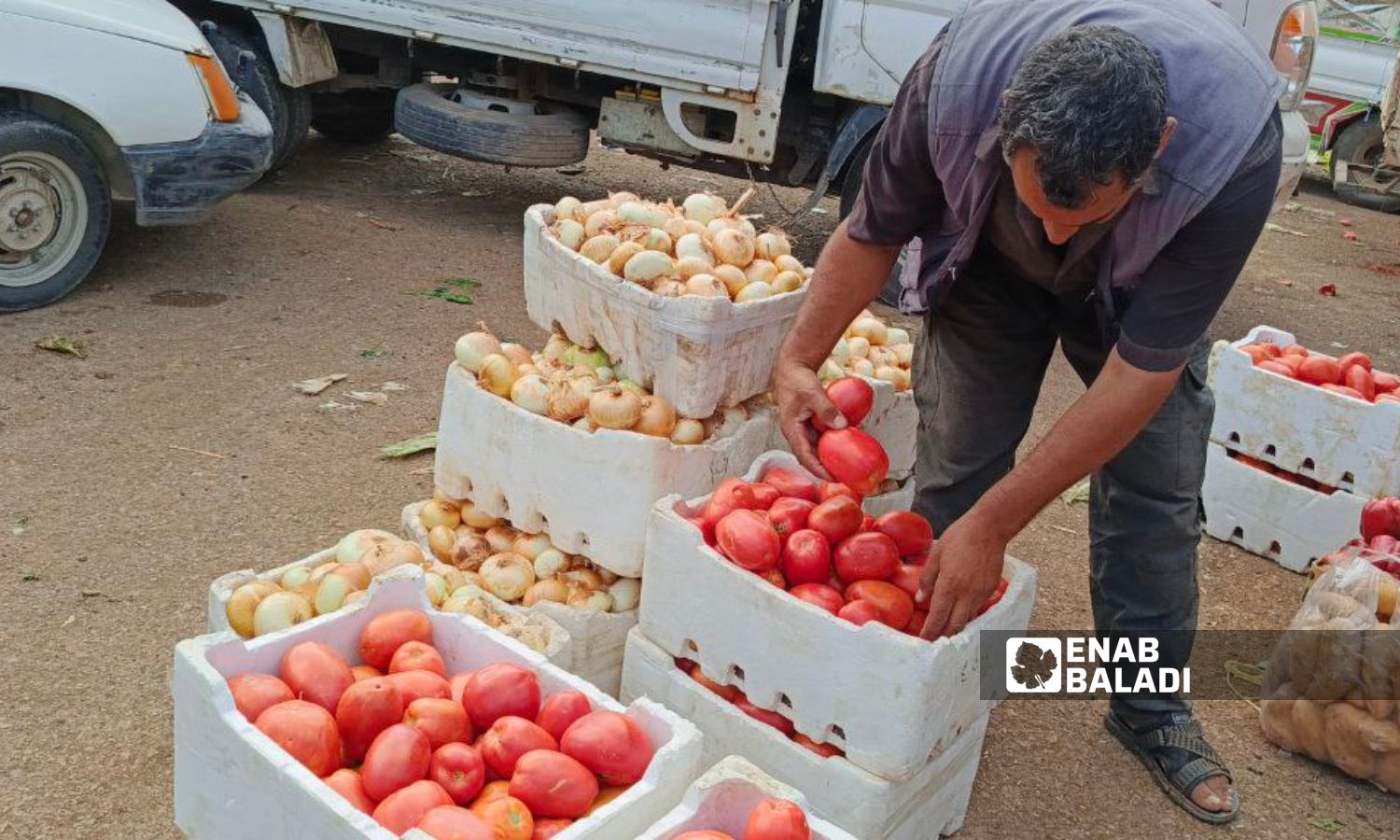 Rising tomato prices in Daraa drive women away from making tomato paste - July 24, 2024 (Enab Baladi/Halim Muhammad)