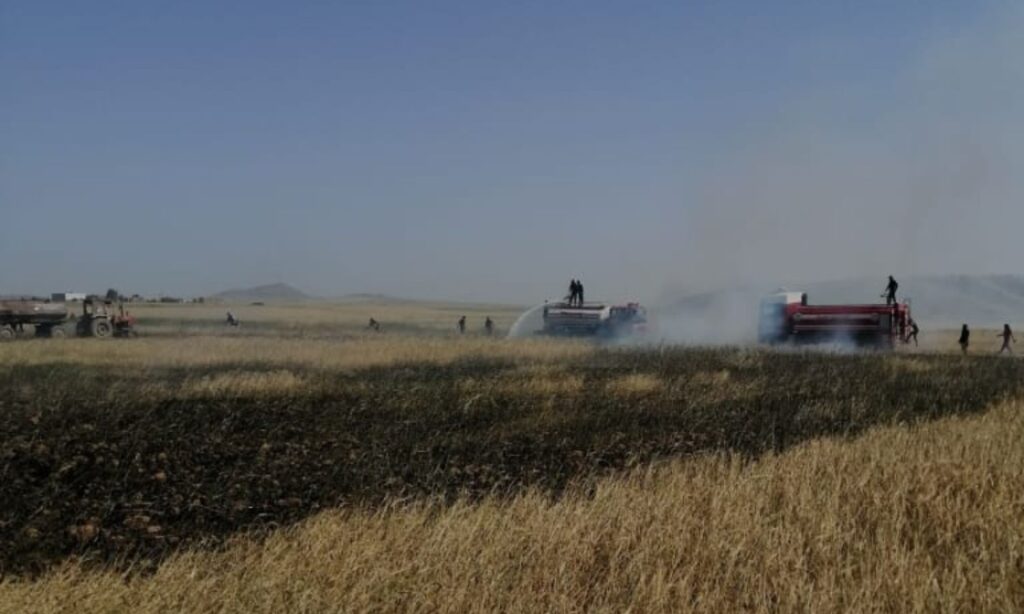 Fires in agricultural lands hit northern countryside of al-Hasakah – May 23, 2020 (Al-Hasakah branch of the Revolutionary Youth Union/Facebook)