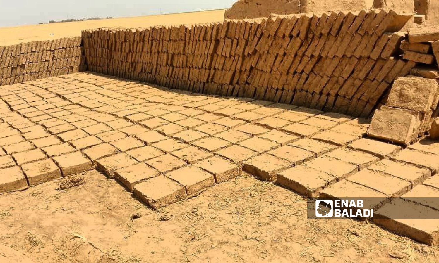 Mud bricks ready for sale in rural Qamishli - August 20, 2024 (Enab Baladi)