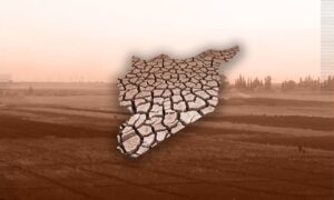 Desertification has struck wide agricultural lands and areas in the cities of Ras al-Ain in northwestern al-Hasakah and Tel Abyad in northern Raqqa (Edited by Enab Baladi)