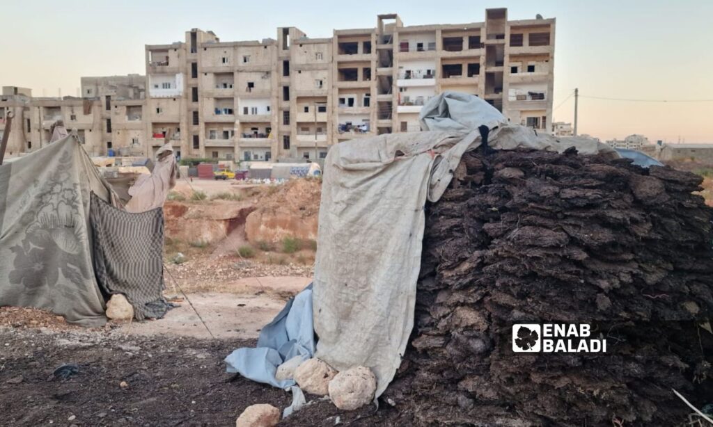 Dried animal manure harms the residents of Idlib neighborhoods - September 25, 2024 (Enab Baladi/Anas al-Khouli)