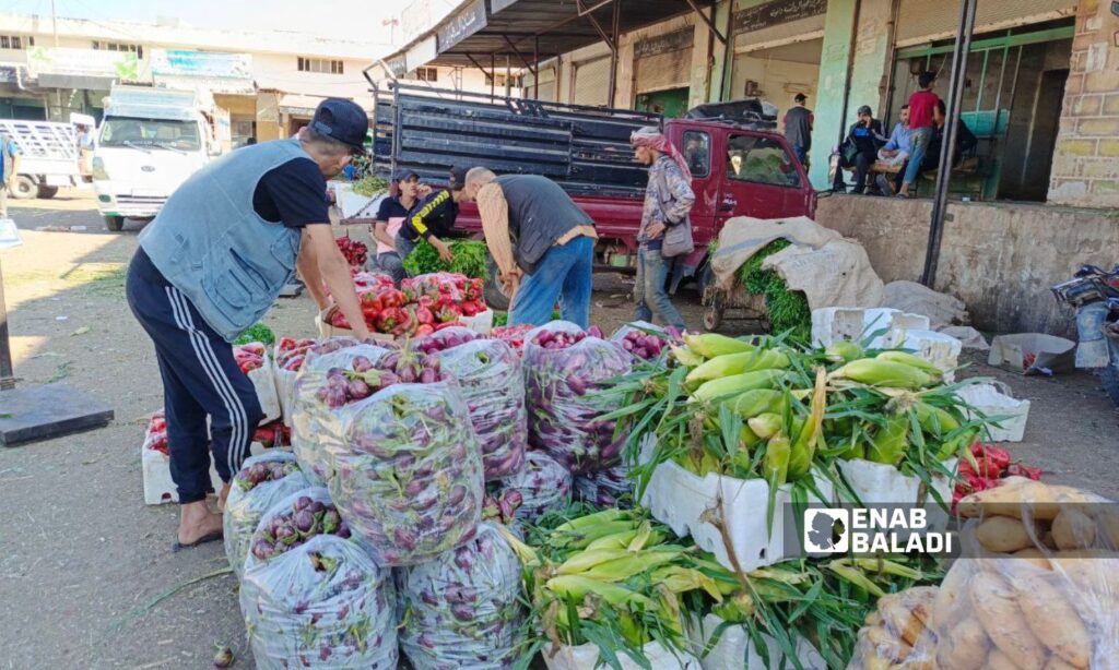 Vegetables at the al-Hal market in the city of Tafas in the western countryside of Daraa - August 28, 2024 (Enab Baladi/Halim Muhammad)