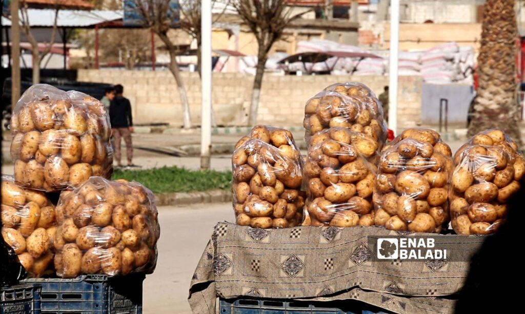 Potato prices are witnessing a rise compared to all other vegetables in Ras al-Ain - August 28, 2024 (Enab Baladi)