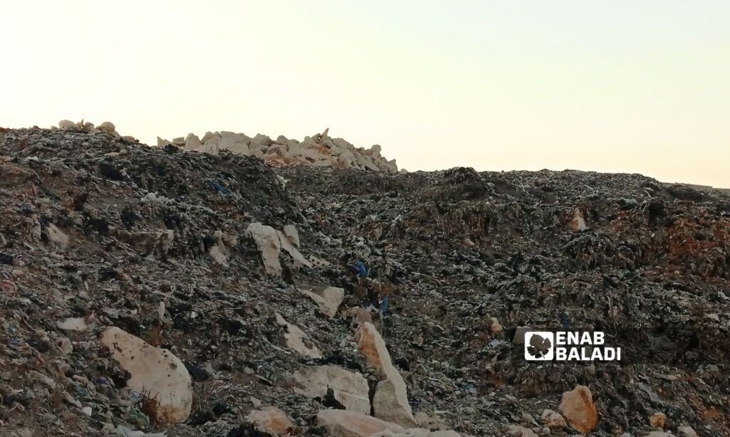 The waste dump has become a source of diseases affecting residents of camps near the village of Hazra in northern Idlib – September 20, 2024 (Enab Baladi/Mohamed Masto)