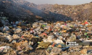 Disposed waste negatively affects the lives of about 15,000 people in Kaljabrin village in Aleppo's countryside - September 2024 (Enab Baladi/Dayan Junpaz)