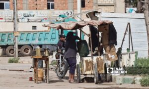 Fuel stalls in Ras al-Ain, northwestern al-Hasakah - October 3, 2024 (Enab Baladi)