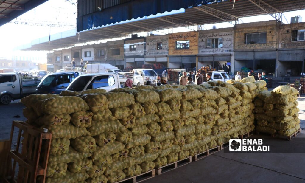 The prices of vegetables in al-Bab are changing daily - October 23, 2024 (Anab Baladi/Walid al-Idlibi)