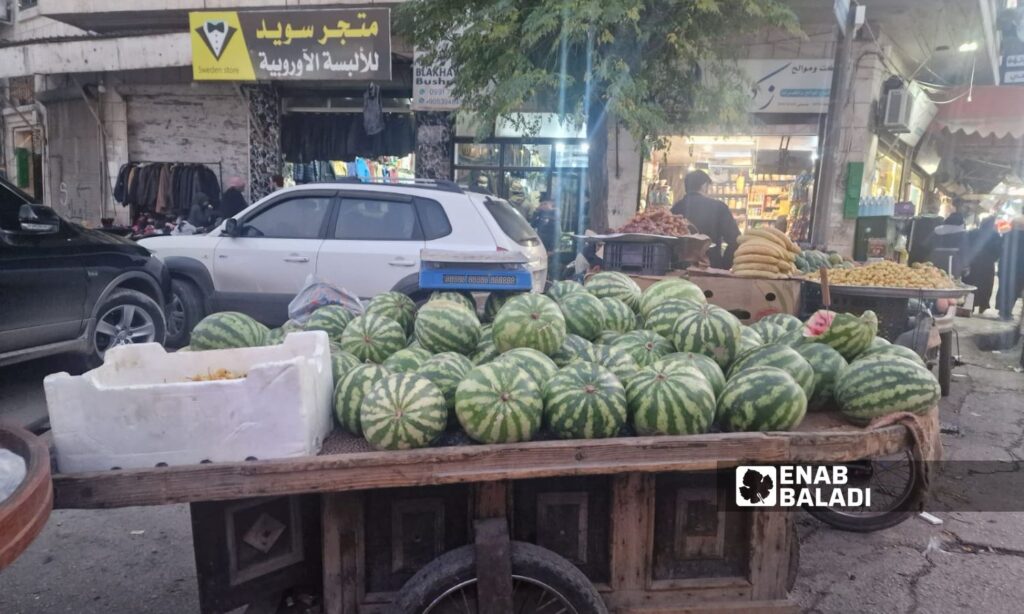 Some farmers store watermelons for up to two months after the end of the season in Idlib - November 9, 2024 (Enab Baladi/Anas al-Khouli)