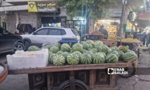 Some farmers store watermelons for up to two months after the end of the season in Idlib - November 9, 2024 (Enab Baladi/Anas al-Khouli)
