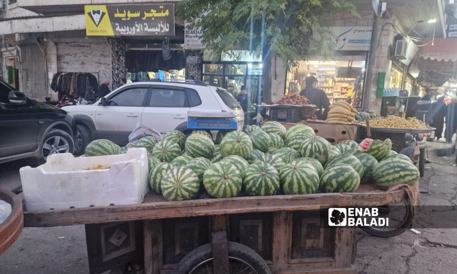 Some farmers store watermelons for up to two months after the end of the season in Idlib - November 9, 2024 (Enab Baladi/Anas al-Khouli)