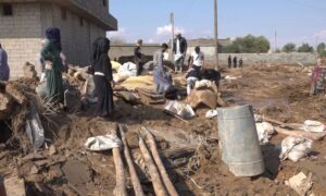 Damaged houses in the village of Qusayba, west of Deir Ezzor - November 2024 (Circulated image/Deir Ezzor)
