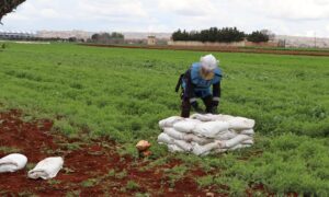 A member of the Syria Civil Defence dismantles unexploded ordnance in northwestern Syria - March 21, 2023 (Syria Civil Defence/Facebook)