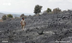 A farmer wanders through his land consumed by fires in Tartus governorate - October 2020 (AFP)