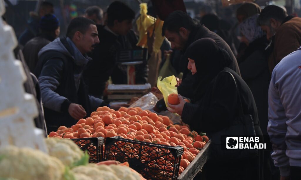 Bab Jinin market in the city of Aleppo - December 15, 2024 (Enab Baladi/Walid al-Idlibi)