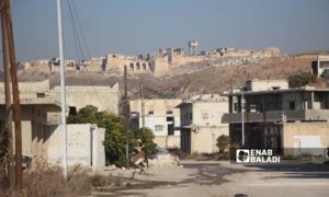 Qalaat al-Madiq is situated on a high hill in the eastern part of the al-Ghab Plain in northern Hama countryside - December 3, 2024 (Enab Baladi/Iyad Abdul Jawad)
