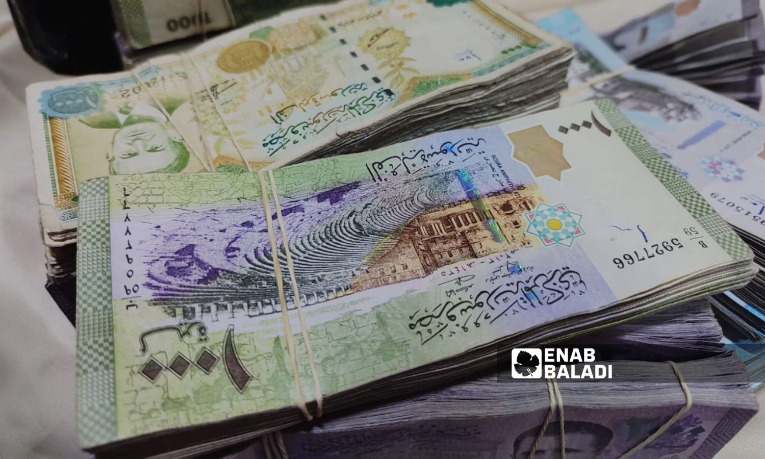 Syrian currency notes (Enab Baladi)