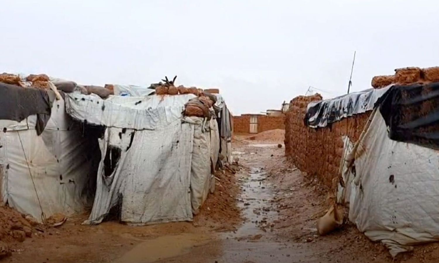 Clay rooms in al-Rukban camp, eastern Homs - March 25, 2024 (Hesar)