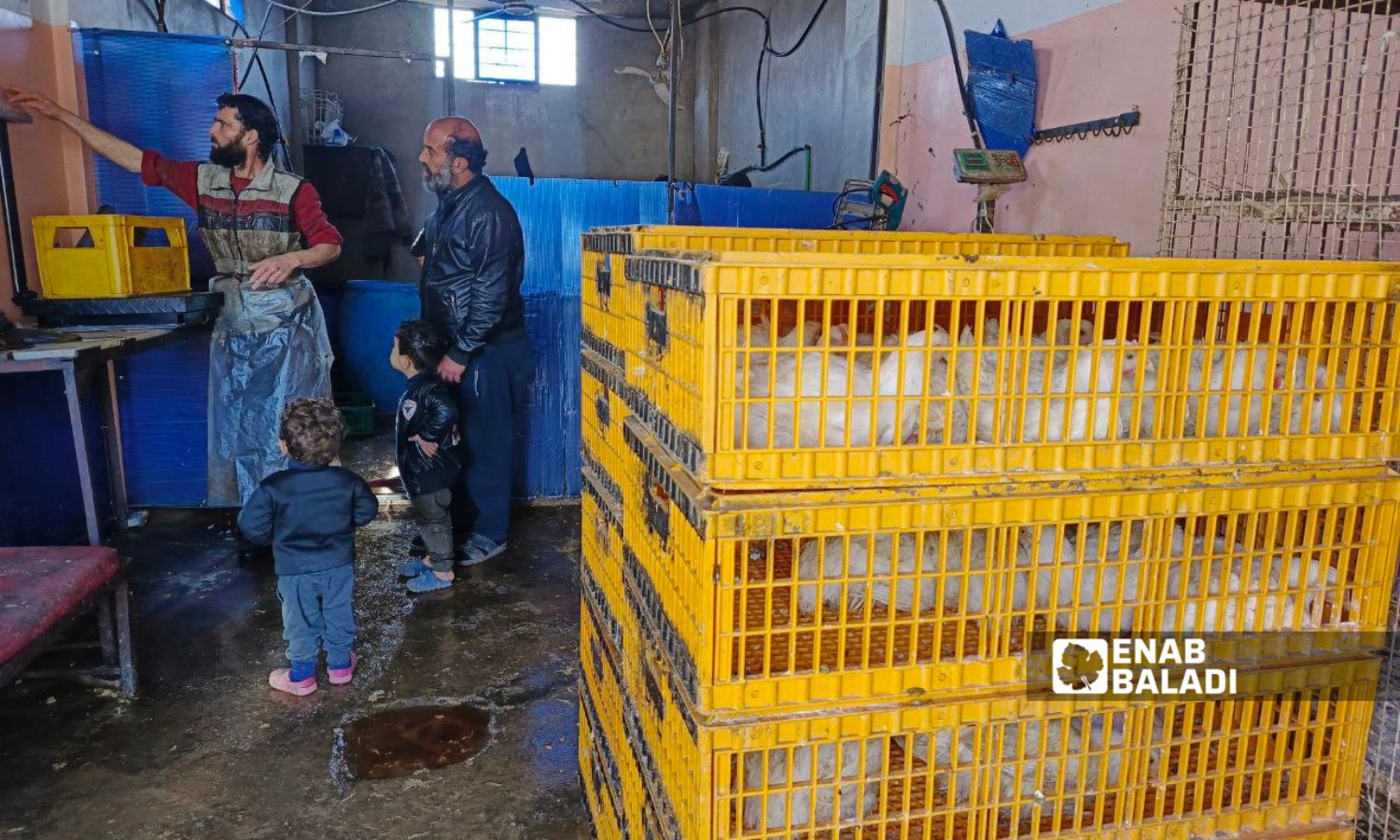 A chicken store in the town of Muzayrib in the western countryside of Daraa - January 15, 2025 (Enab Baladi/Halim Muhammad)