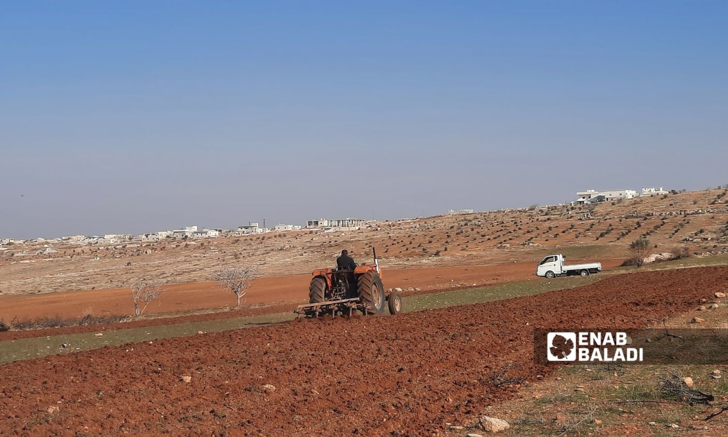 Farmers return to lands damaged and stolen by the previous Syrian regime in rural Idlib - January 24, 2025 (Enab Baladi/Samah Alloush)