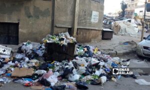 Waste accumulation in the streets of Damascus - February 2025 (Enab Baladi/Amir Huquq)