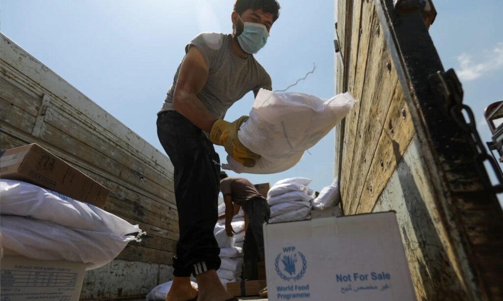 A worker unloads bags and boxes of humanitarian aid from a truck in Idlib province - June 9, 2021 (Reuters)