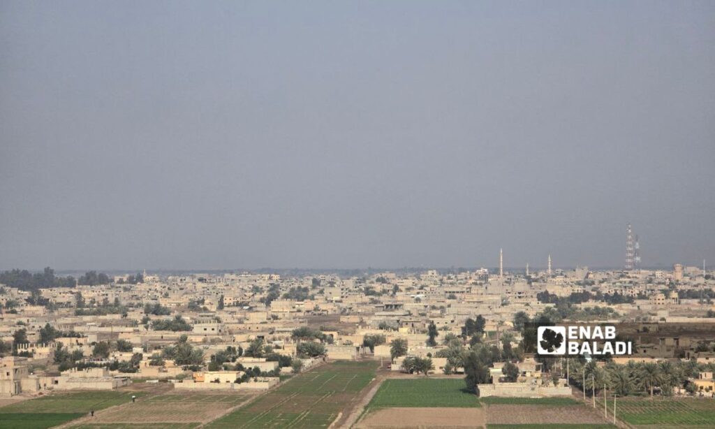 Agricultural lands in the city of al-Mayadeen, eastern Deir Ezzor - February 11, 2025 (Enab Baladi/Obadah al-Sheikh)