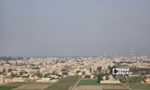 Agricultural lands in the city of al-Mayadeen, eastern Deir Ezzor - February 11, 2025 (Enab Baladi/Obadah al-Sheikh)