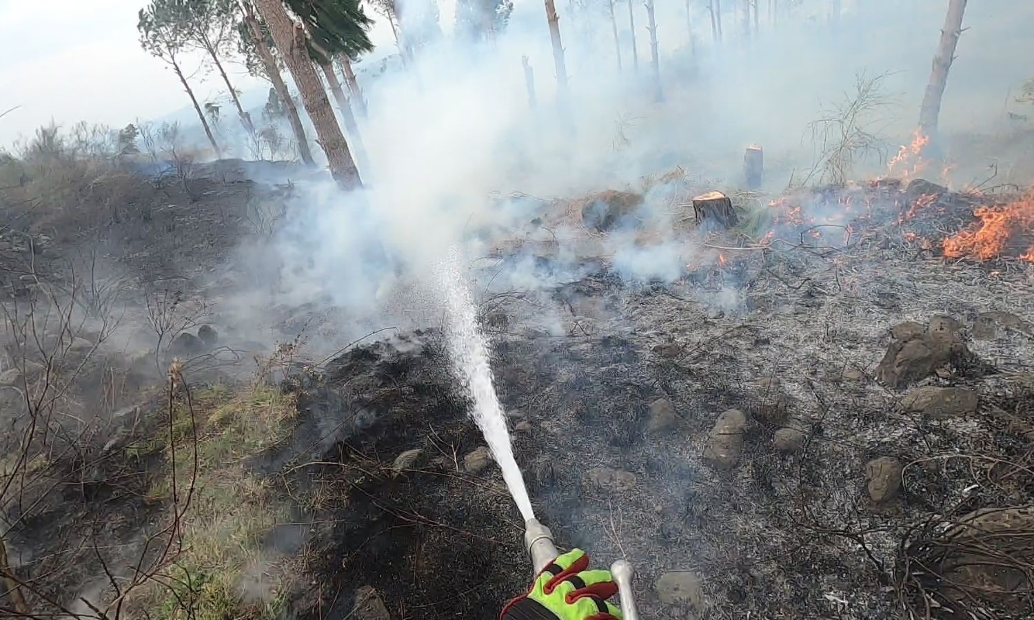 Civil defence teams are trying to extinguish fires that broke out in the Syrian coast - March 5, 2025 (Syria Civil Defence)