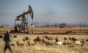 A shepherd passes near the Rmeilan oil field in northeastern Syria - August 2024 (AFP)