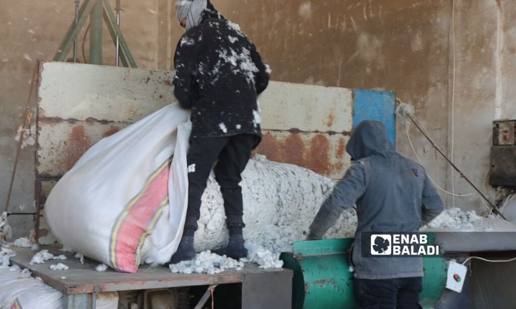 Workers inside the cotton ginning factory in the town of Tawamiyeh in northern Deir Ezzor - February 5, 2024 (Enab Baladi/Obadah al-Sheikh)