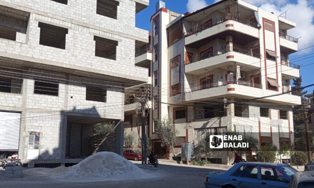 Electricity pole in the town of Jdeidet Artouz, April 14 (Enab Baladi/Besan Khalaf)