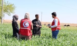 Volunteers of the Syrian Arab Red Crescent - May 6, 2025 (Syrian Red Crescent/Facebook)