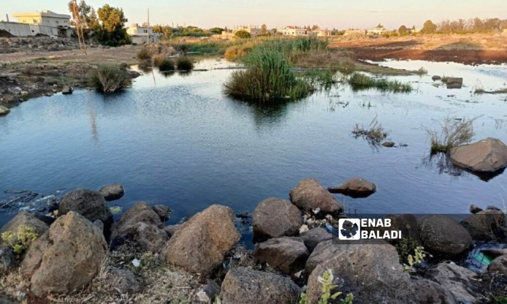 The flooding of the main sewage line in al-Ajami village in the western countryside of Daraa - May 5, 2025 (Enab Baladi/Mahjoub al-Hashish)
