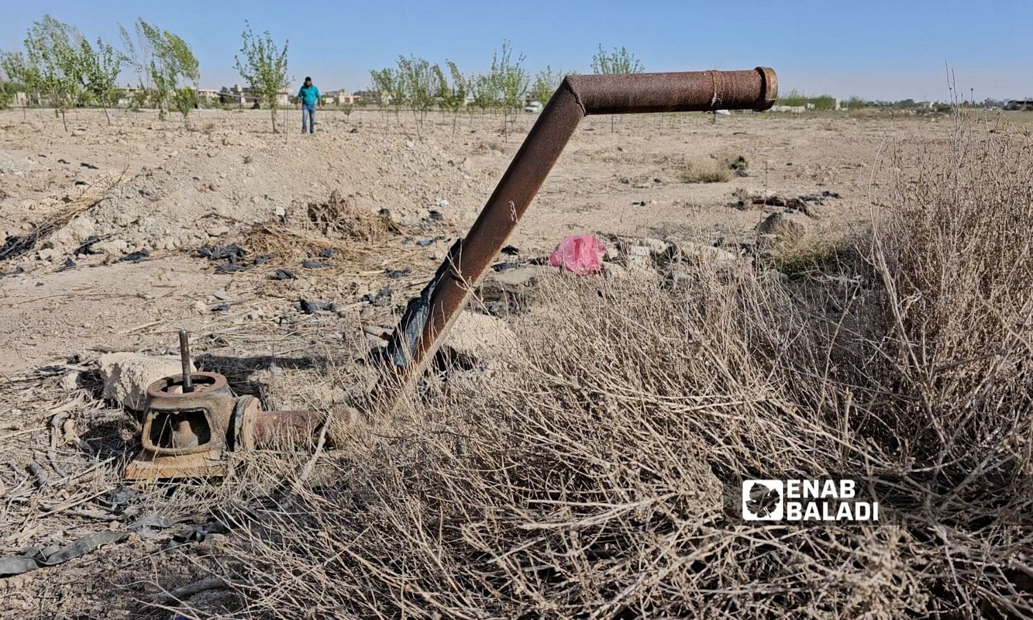 Al-Marj loses its green cover: Farmers demand restoration of water supply