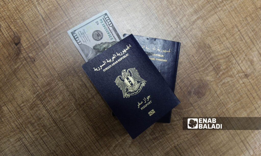 Syrian passport (Enab Baladi)
