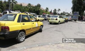 Public taxis line up in front of the Faculty of Arts in al-Mazzeh, Damascus - June 3, 2025 (Enab Baladi/Christina al-Shammas)