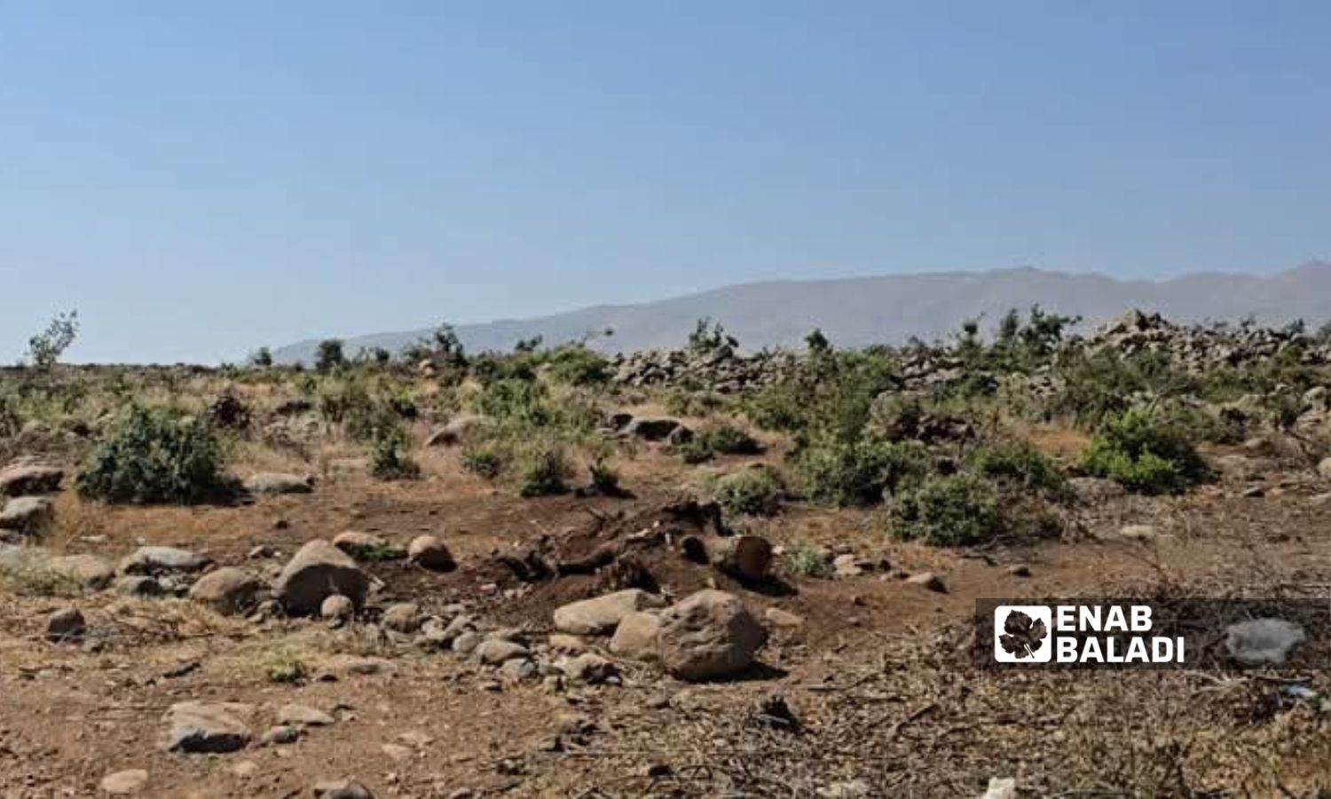 Israel aggravates drought problem in Quneitra