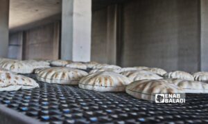 Residents of the city of Tal Abyad in northern Raqqa governorate complain about the poor quality of bread - June 11, 2025 (Enab Baladi)