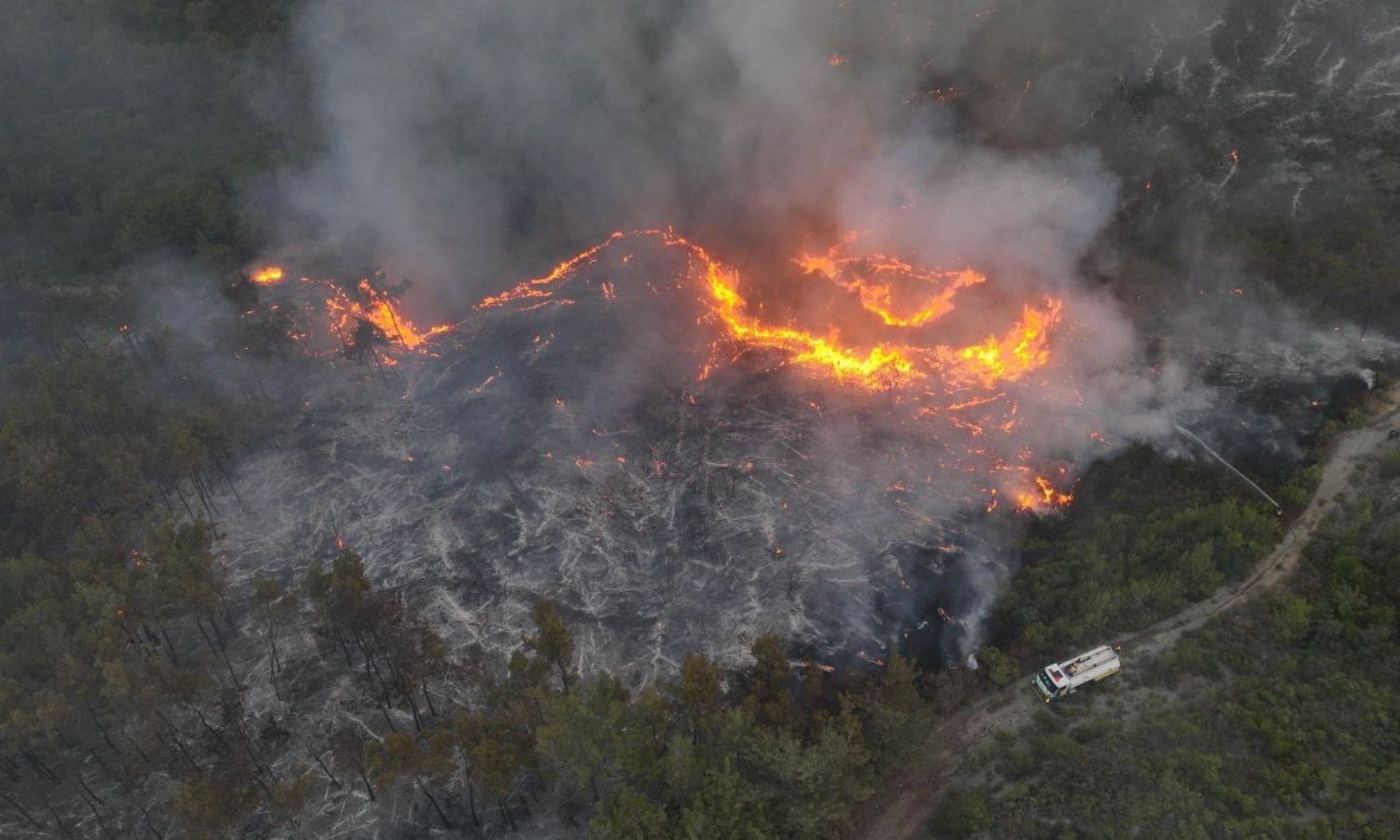 “Civil Defense”: Lattakia Fires Are Extensive and Difficult