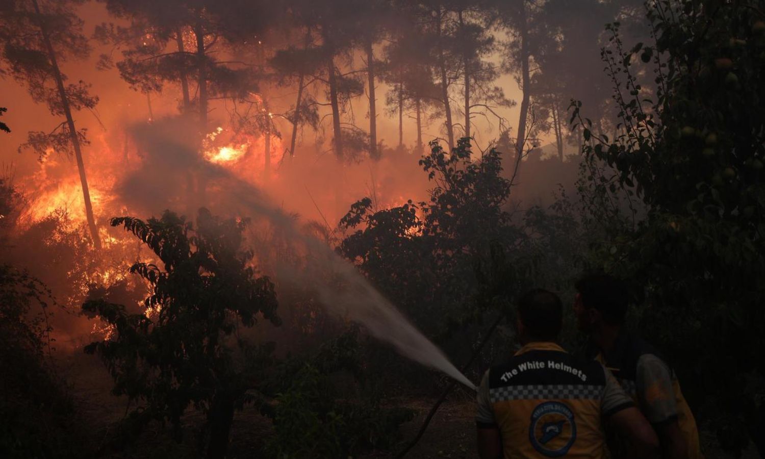 Syrian Civil Defense teams continue efforts to extinguish forest fires in Latakia’s countryside on the tenth consecutive day – July 11, 2025 (Syrian Civil Defense / Telegram)