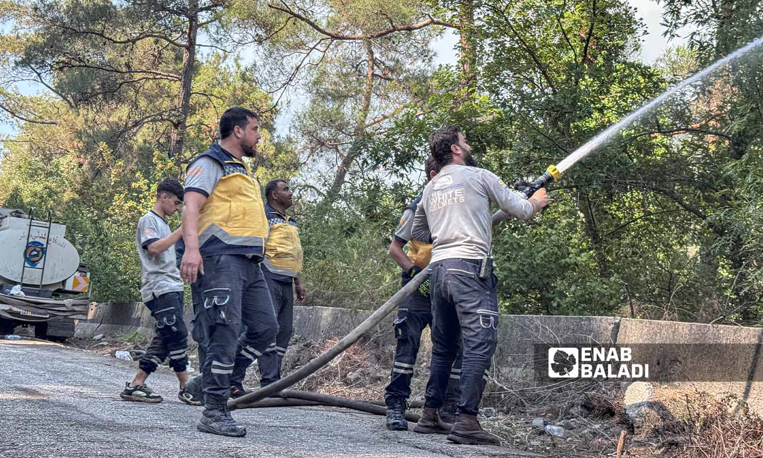 Wildfires Reignite and Spread in Lattakia as Iraq Joins Firefighting Efforts