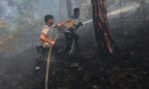 Syrian Civil Defense teams attempt to extinguish Lattakia wildfires – 12 July 2025 (Raed al-Saleh/X)