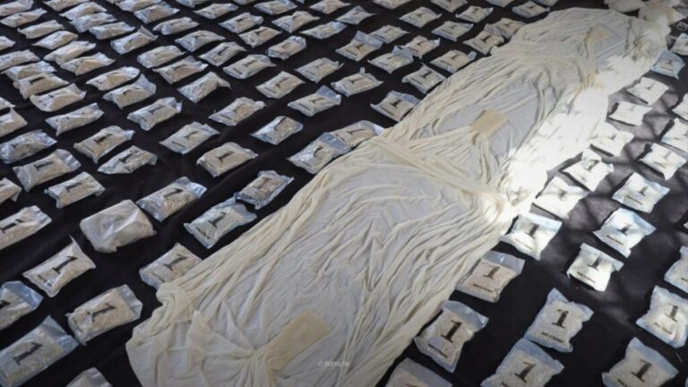 The Ministry of Interior arrests several drug traffickers and seizes a large quantity of narcotics prepared for smuggling into Jordan, February 3, 2026. (SANA)