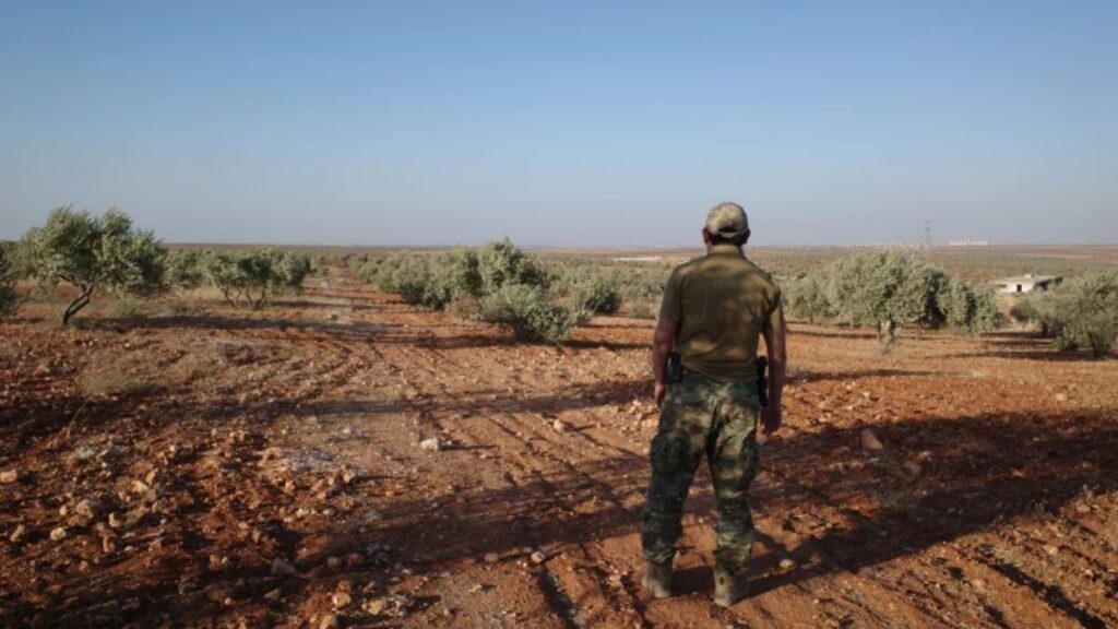 A senior Uyghur fighter commander stands in an olive grove in northern Syria. (NPR/Emily Feng)