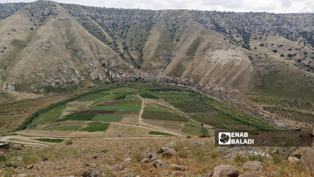 Yarmouk Valley west of the villages of Maariya and Koya in rural Daraa, May 6, 2026. (Enab Baladi/Mahjoub al-Hashish)