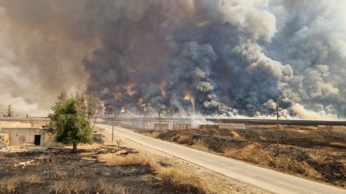 Fires consume farmland in Zarkan, west of Hasakah, June 18, 2026 (Hasakah Observatory)
