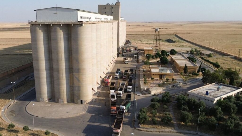 Wheat delivery to the Kabaka silos in the countryside of Qamishli, June 27, 2026. (North Press)